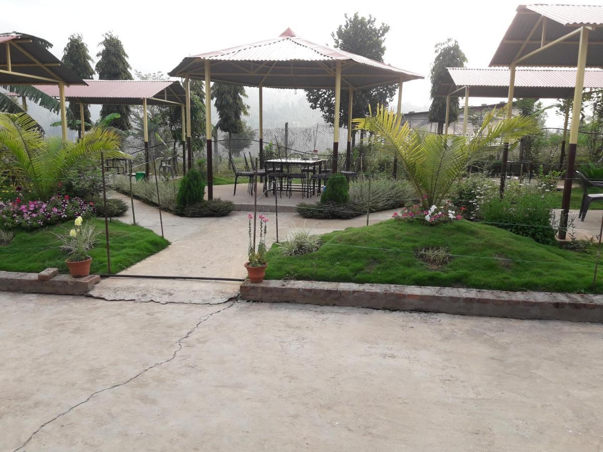 Trishuli Beach Resort Dhading 외부 사진